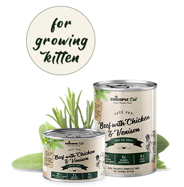 (Kitten) Kylling & Vildt med oksebouillon 12 x 195 gram