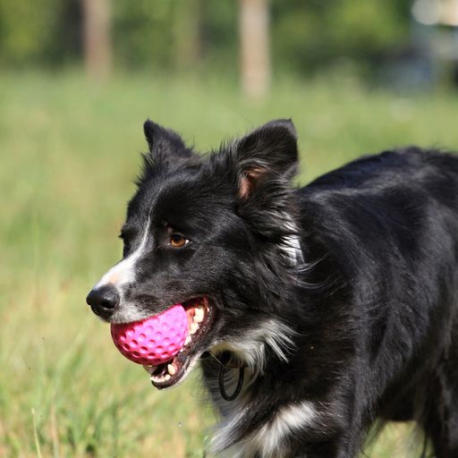 Let's play BALL - MINI